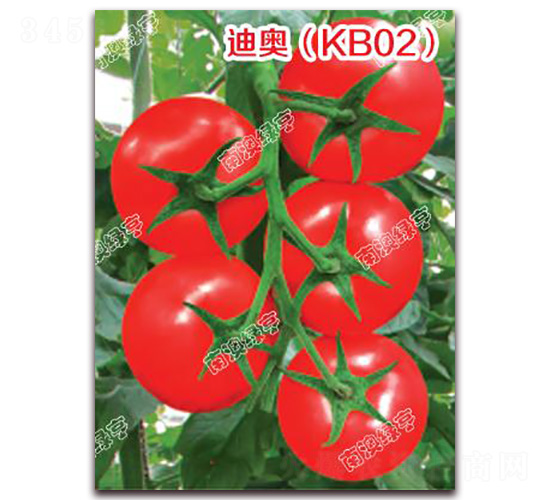 �ϊW��KB02��-��t���ѷN��-�ϰľG��