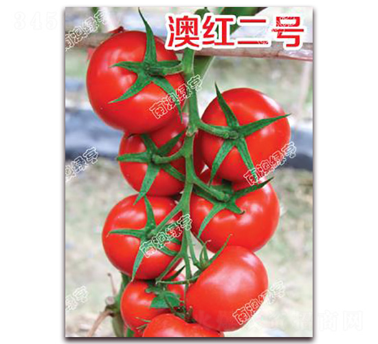 �ļt��̖(h��o)-��t���ѷN��-�ϰľG��