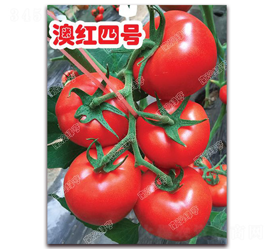 �ļt��̖-��t���ѷN��-�ϰľG��