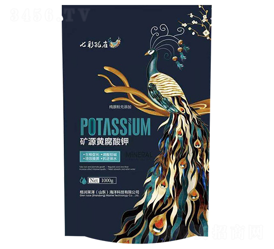 �VԴ�S�����-�߲ʿ�ȸ-��(r��n)�R��