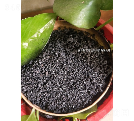 ��ֲ���c�w��-����