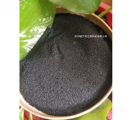 �VԴ�S��ֲ���-����