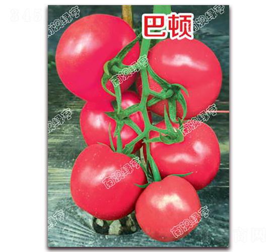 ���D-�۹����ѷN��-�ϰľG��