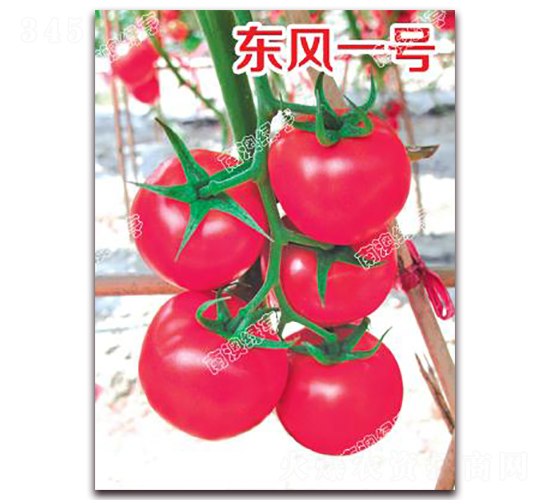 �|�Lһ̖-�۹����ѷN��-�ϰľG��