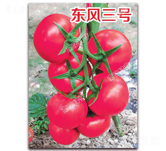 �|�L(f��ng)��̖(h��o)-�۹����ѷN��-�ϰľG��