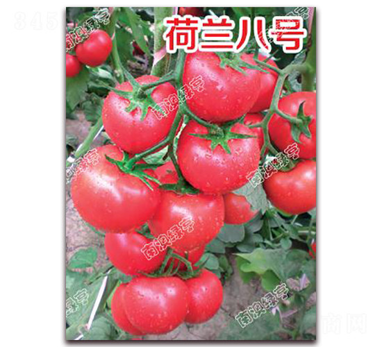 ���m��̖-�۹����ѷN��-�ϰľG��