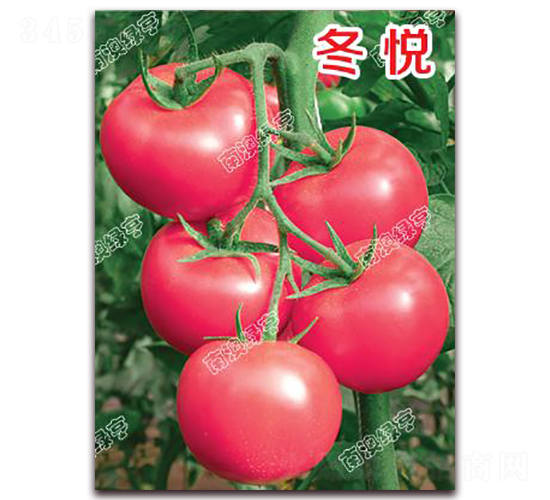 ����-�۹����ѷN��-�ϰľG��