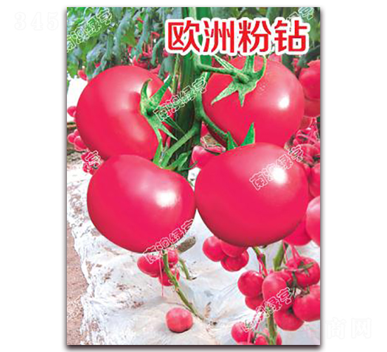 �W�޷��@-�۹����ѷN��-�ϰľG��