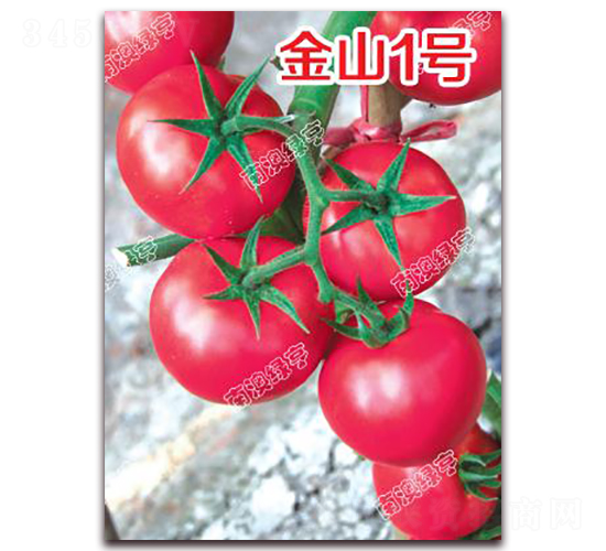 ��ɽ1̖-�۹����ѷN��-�ϰľG��