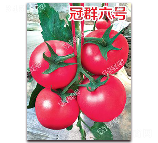 ��Ⱥ��̖-�۹����ѷN��-�ϰľG��