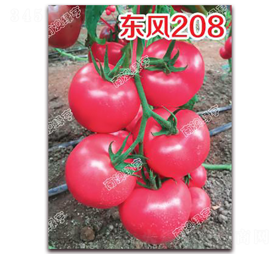 �|�L208-�۹����ѷN��-�ϰľG��