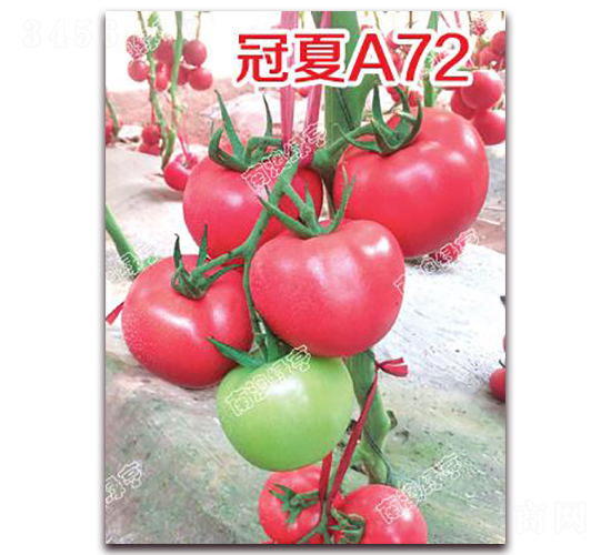 ����A72-�۹����ѷN��-�ϰľG��