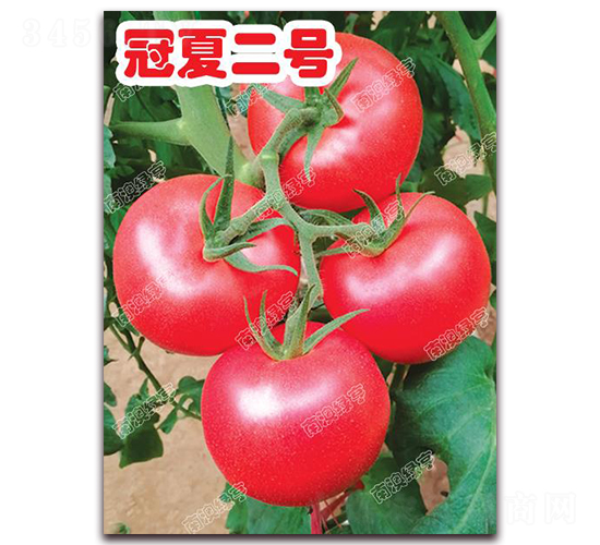 ���Ķ�̖(h��o)-�۹����ѷN��-�ϰľG��