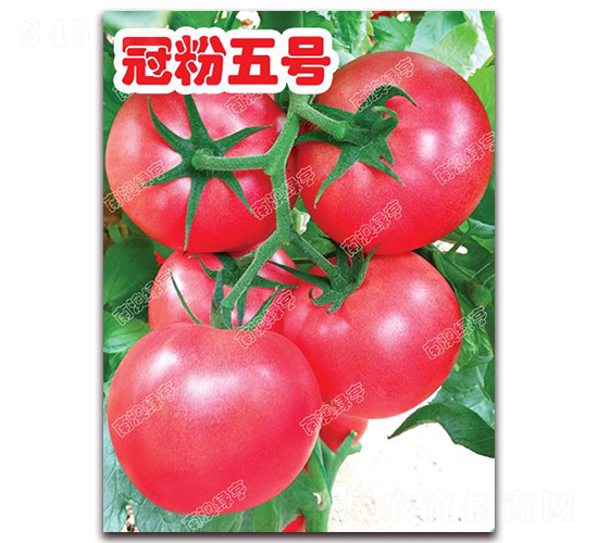 �ڷ���̖(h��o)-�۹����ѷN��-�ϰľG��