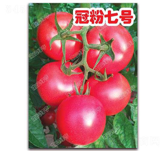 �ڷ���̖(h��o)-�۹����ѷN��-�ϰľG��