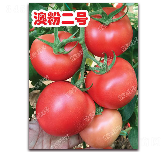 �ķ۶�̖(h��o)-�۹����ѷN��-�ϰľG��