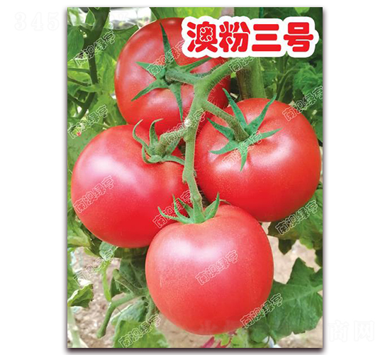 �ķ���̖-�۹����ѷN��-�ϰľG��