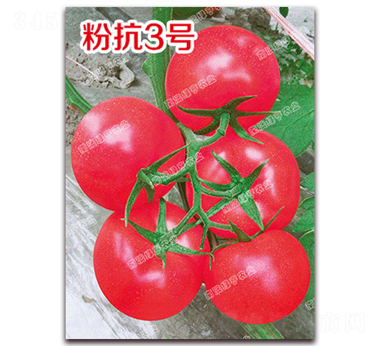 �ۿ�3̖(h��o)-�۹����ѷN��-�ϰľG��