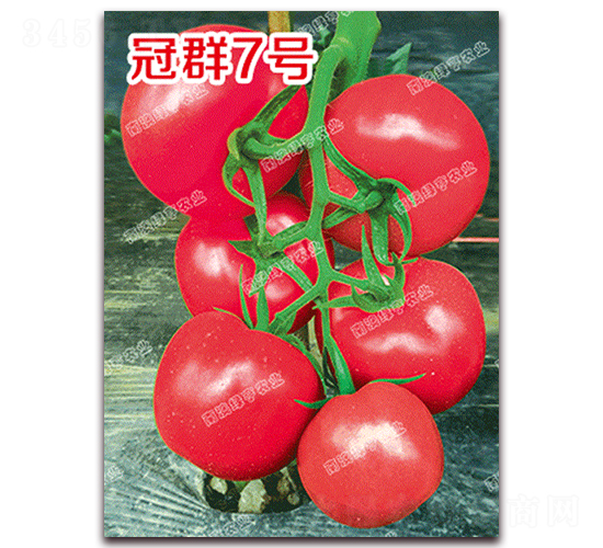 ��Ⱥ7̖-�۹����ѷN��-�ϰľG��