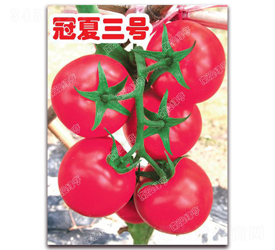 ������̖(h��o)-�۹����ѷN��-�ϰľG��