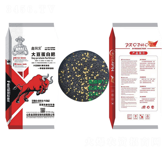 �󶹵��׷�-�Ν��l(f��)-ʢ�����B(t��i)