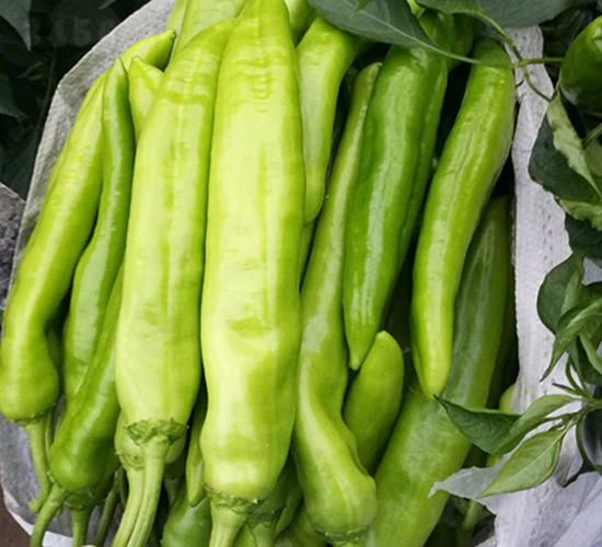 �⽷�N��-�̝��N��