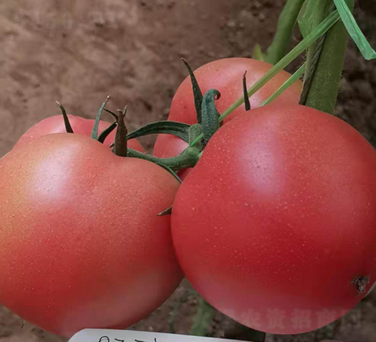 ��N��001-���ѷN��-�̝�(r��n)�N��