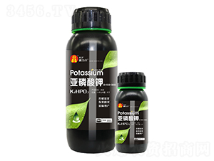 �������-�T���S����