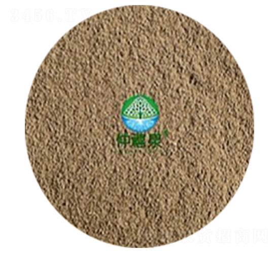 ���ϔM��ù-����Ȫ