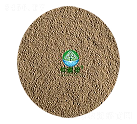 ���ϔM��ù��10�|-g��-����Ȫ