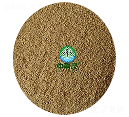 �ݲ�ѿ�ߗU����1000�|-g����ȫ�ܣ�-����Ȫ