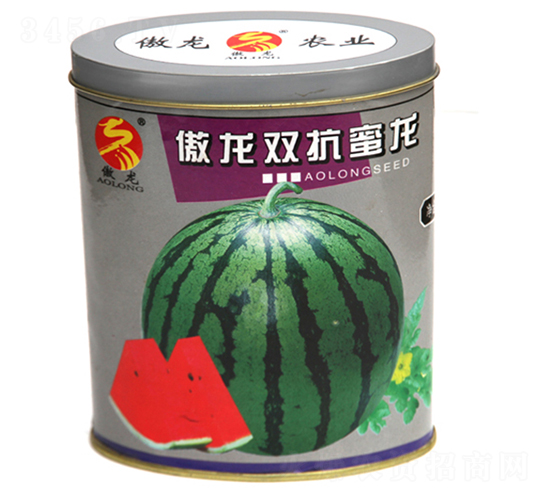 �����p������-���ϷN��-����