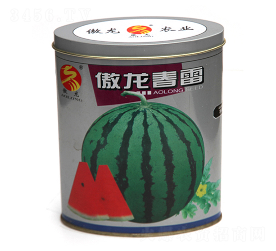 ��������-���ϷN��-����