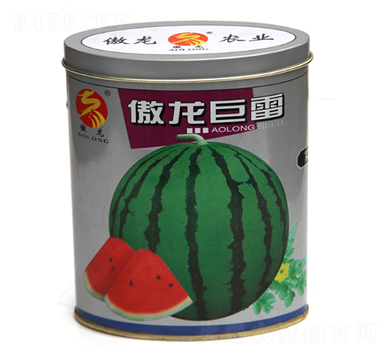 ��������-���ϷN��-����