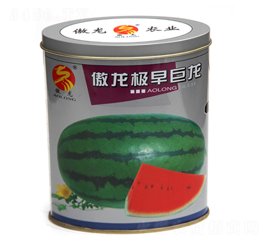 �����O�����-���ϷN��-����