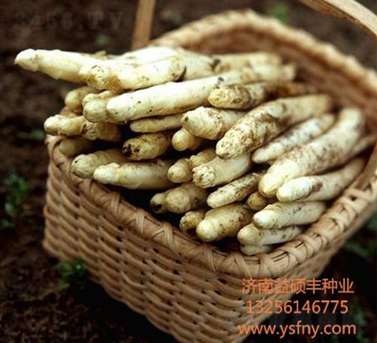 ��܊һ̖-�J�S�N��-��T�S�r(n��ng)�I(y��)