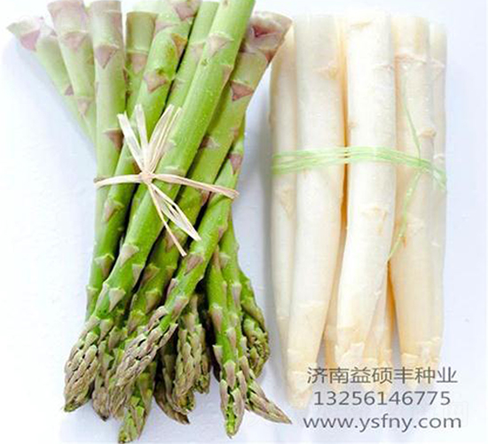 ����ķ-�J�S�N��-��T�S�r(n��ng)�I(y��)