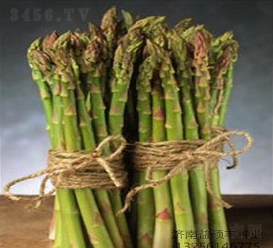 ������˹-�J�S�N��-��T�S�r(n��ng)�I(y��)