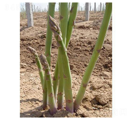 �_����-�J�S�N��-��T�S�r(n��ng)�I(y��)