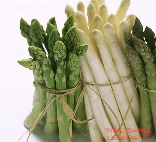 �ɵW-�J�S�N��-��T�S�r(n��ng)�I(y��)