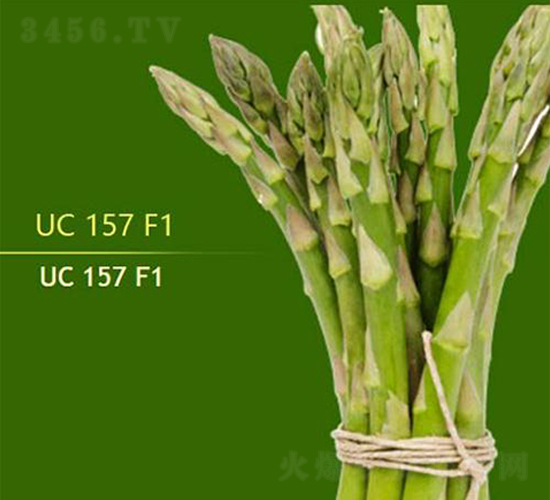 UC157F1-�J�S�N��-��T�S�r(n��ng)�I(y��)