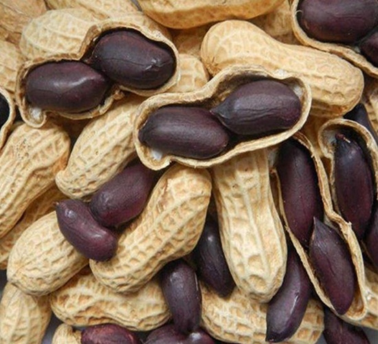 �����ڻ���-�����N��-��T�S�r(n��ng)�I(y��)