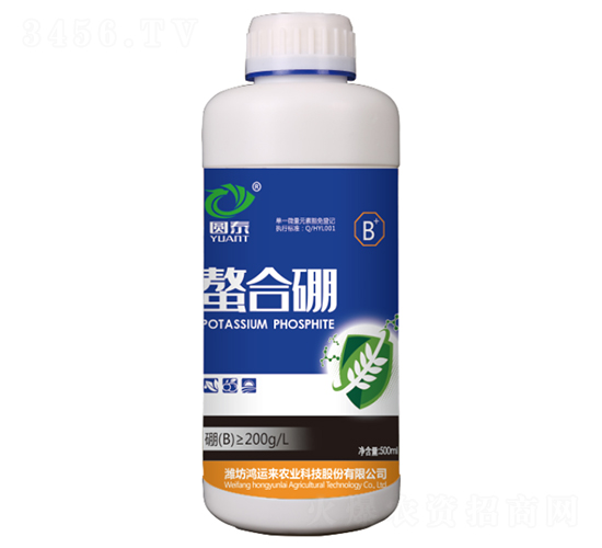 ������-�A̩-���\(y��n)��