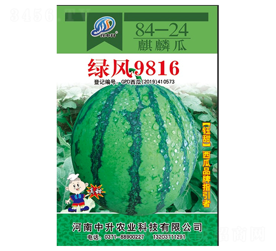 �G�L(f��ng)9816-���ϷN��-�����r(n��ng)�I(y��)