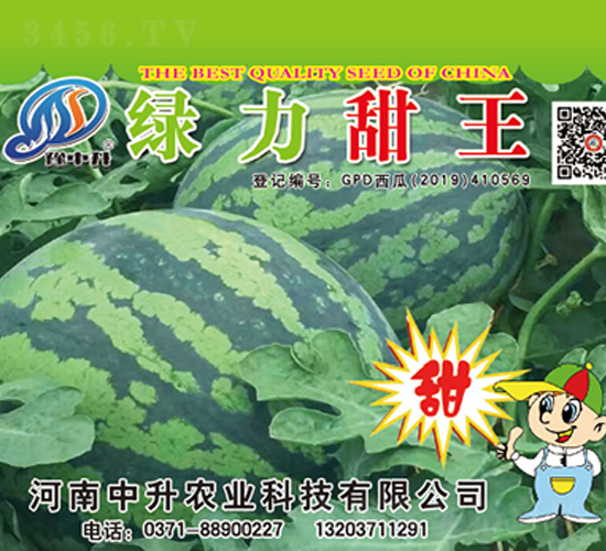 �G������-���ϷN��-�����r(n��ng)�I(y��)