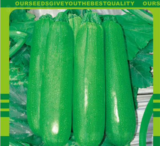 �W¹��̖(h��o)-�S�ϷN��-�����r(n��ng)�I(y��)