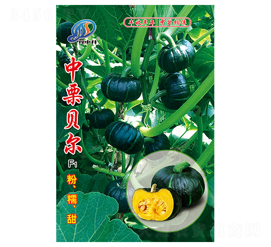 ����ؐ��-�ϹϷN��-�����r(n��ng)�I(y��)