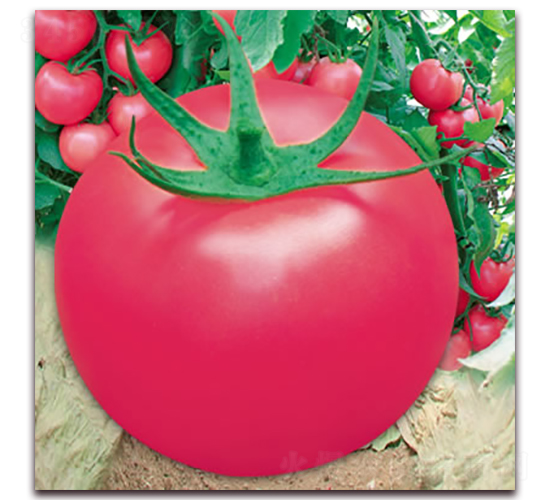 ����302-�۹����ѷN��-����