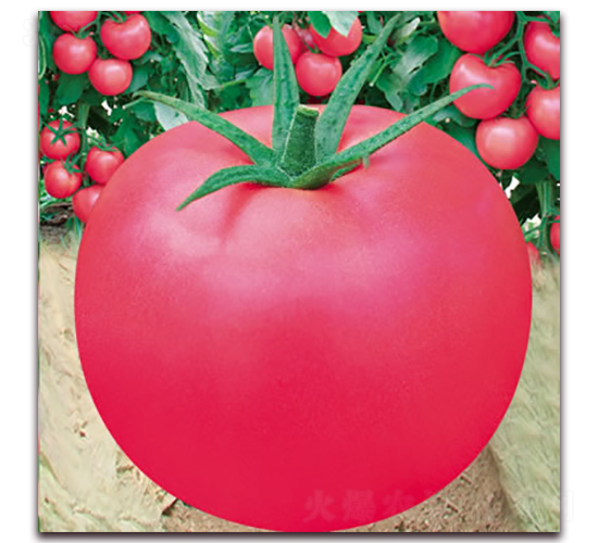 ����303-�۹����ѷN��-����