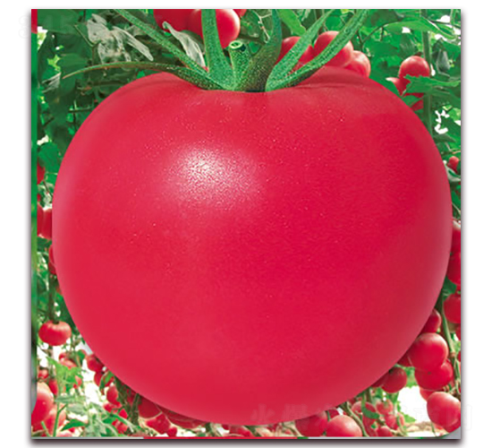 �W��60-�۹����ѷN��-����